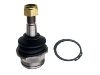球头 Ball joint:251 407 187