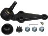 球头 Ball Joint:43330-19056