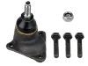 球头 Ball Joint:113 407 361 E