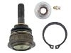 шаравой Ball Joint:6W1Z3085A