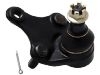 球头 Ball Joint:43330-49095